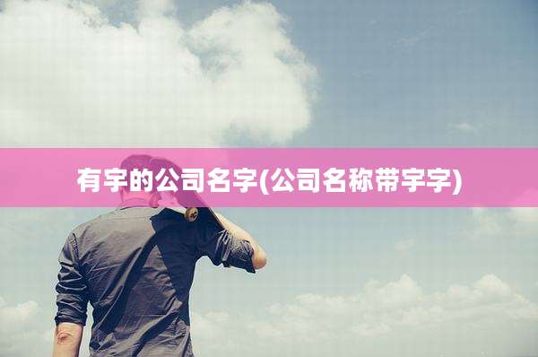 有宇的公司名字(公司名称带宇字)