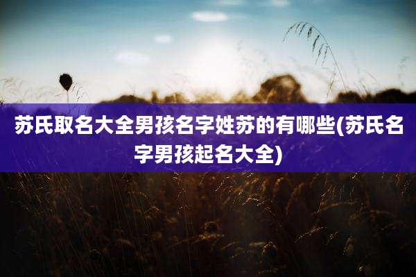 苏氏取名大全男孩名字姓苏的有哪些(苏氏名字男孩起名大全)
