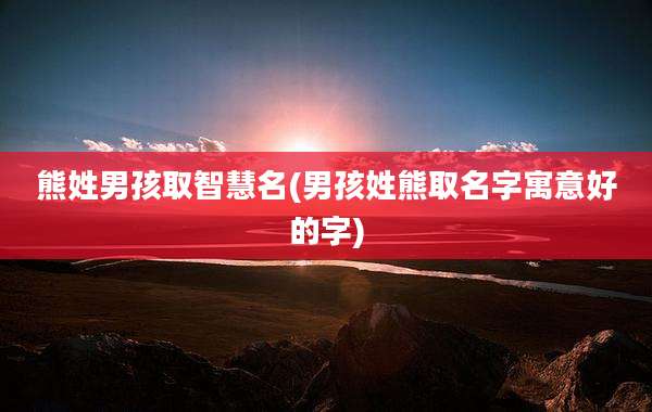 熊姓男孩取智慧名(男孩姓熊取名字寓意好的字)