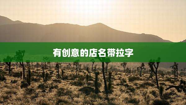 有创意的店名带拉字