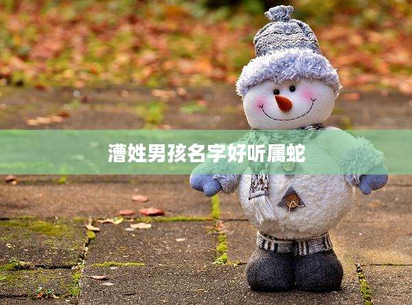 漕姓男孩名字好听属蛇