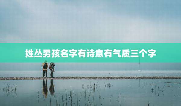 姓丛男孩名字有诗意有气质三个字