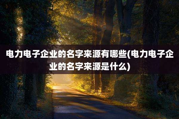 电力电子企业的名字来源有哪些(电力电子企业的名字来源是什么)