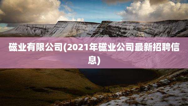 磁业有限公司(2021年磁业公司最新招聘信息)