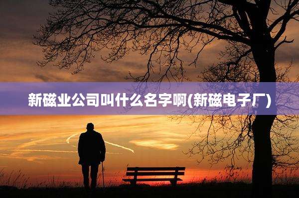新磁业公司叫什么名字啊(新磁电子厂)