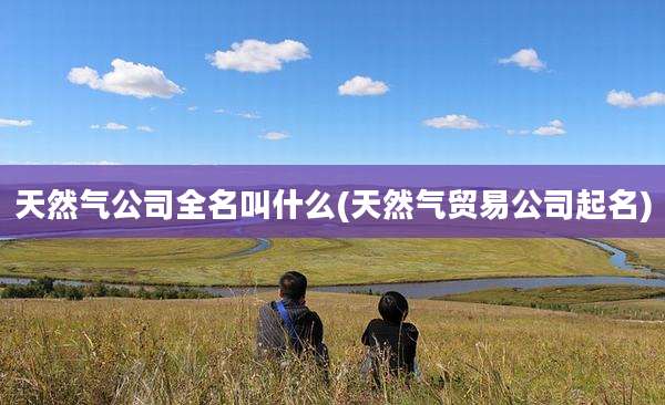 天然气公司全名叫什么(天然气贸易公司起名)