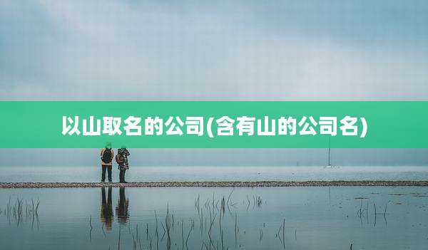 以山取名的公司(含有山的公司名)