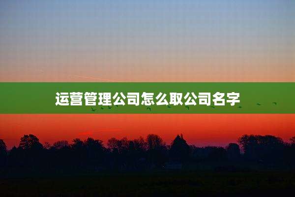 运营管理公司怎么取公司名字