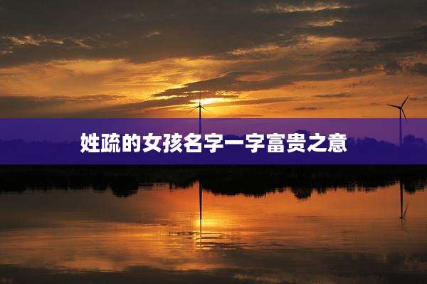 姓疏的女孩名字一字富贵之意