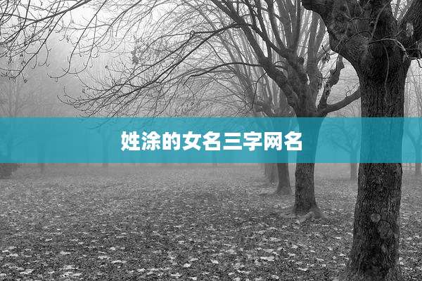 姓涂的女名三字网名