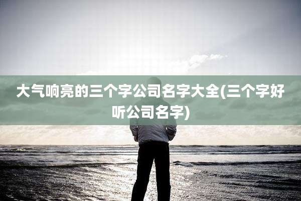 大气响亮的三个字公司名字大全(三个字好听公司名字)