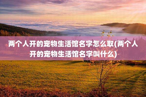 两个人开的宠物生活馆名字怎么取(两个人开的宠物生活馆名字叫什么)