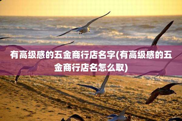 有高级感的五金商行店名字(有高级感的五金商行店名怎么取)