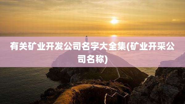 有关矿业开发公司名字大全集(矿业开采公司名称)