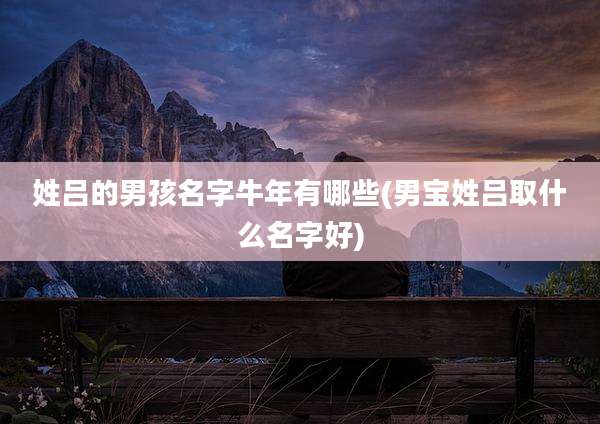 姓吕的男孩名字牛年有哪些(男宝姓吕取什么名字好)