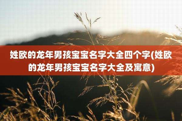 姓欧的龙年男孩宝宝名字大全四个字(姓欧的龙年男孩宝宝名字大全及寓意)