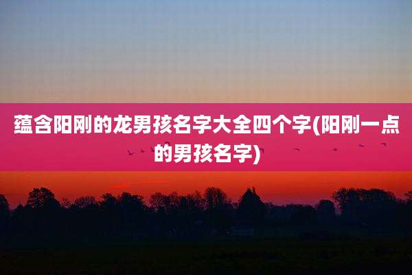 蕴含阳刚的龙男孩名字大全四个字(阳刚一点的男孩名字)