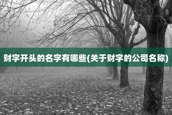 财字开头的名字有哪些(关于财字的公司名称)