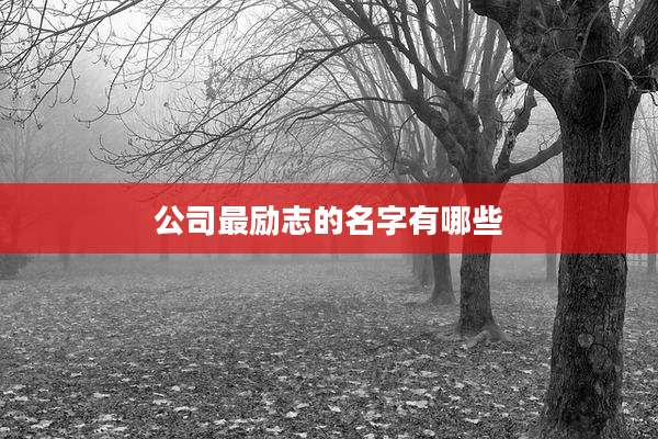 公司最励志的名字有哪些