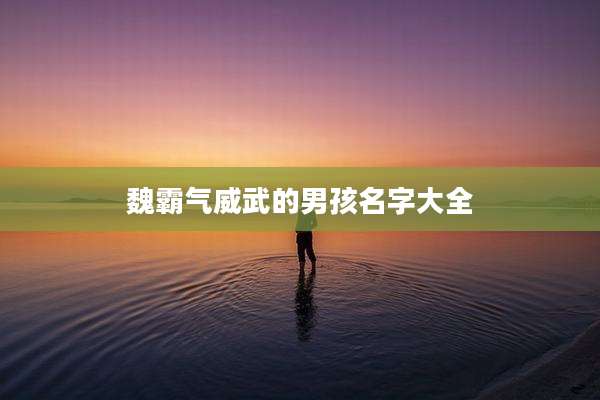 魏霸气威武的男孩名字大全