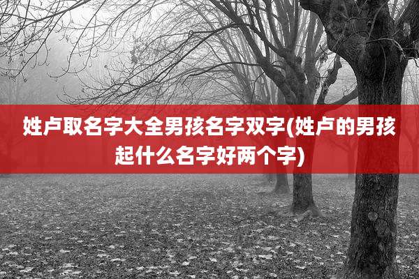 姓卢取名字大全男孩名字双字(姓卢的男孩起什么名字好两个字)