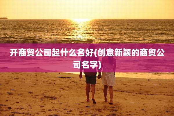 开商贸公司起什么名好(创意新颖的商贸公司名字)