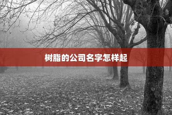 树脂的公司名字怎样起