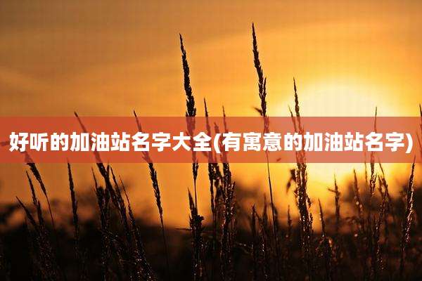 好听的加油站名字大全(有寓意的加油站名字)