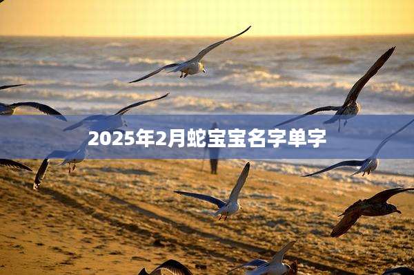 2025年2月蛇宝宝名字单字