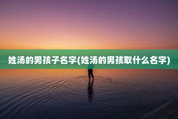 姓汤的男孩子名字(姓汤的男孩取什么名字)