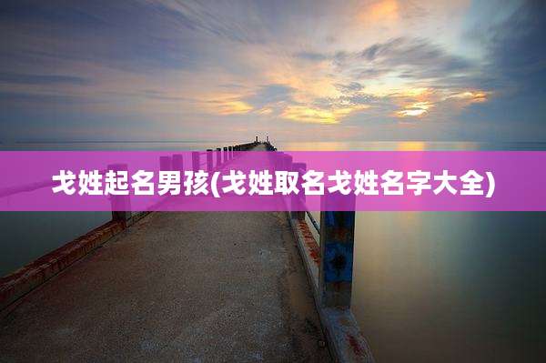 戈姓起名男孩(戈姓取名戈姓名字大全)