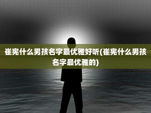 崔宪什么男孩名字最优雅好听(崔宪什么男孩名字最优雅的)