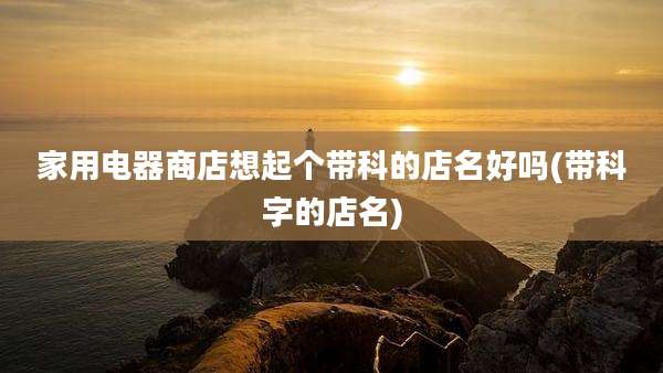家用电器商店想起个带科的店名好吗(带科字的店名)