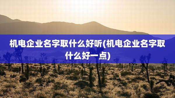 机电企业名字取什么好听(机电企业名字取什么好一点)