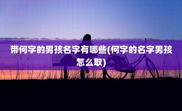 带何字的男孩名字有哪些(何字的名字男孩怎么取)