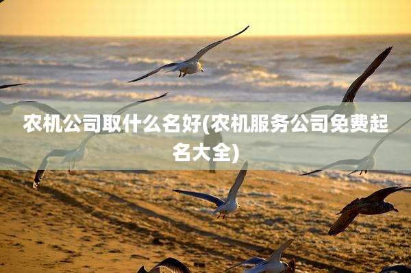 农机公司取什么名好(农机服务公司免费起名大全)