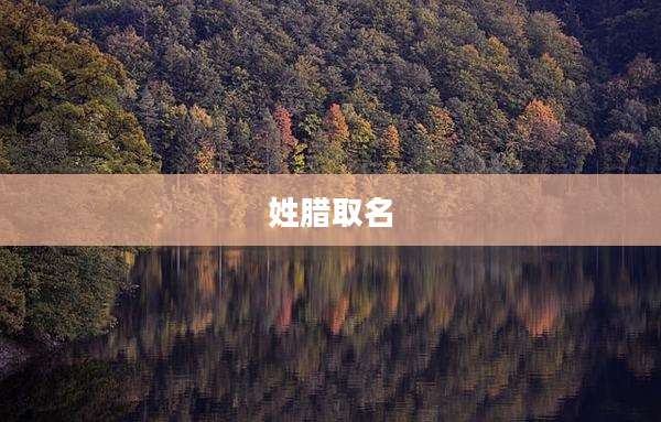 姓腊取名