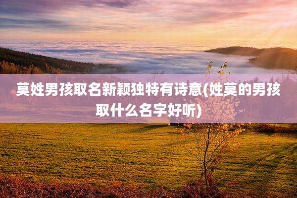 莫姓男孩取名新颖独特有诗意(姓莫的男孩取什么名字好听)