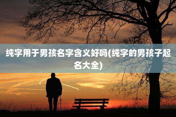 纯字用于男孩名字含义好吗(纯字的男孩子起名大全)
