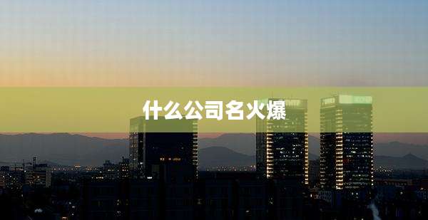 什么公司名火爆