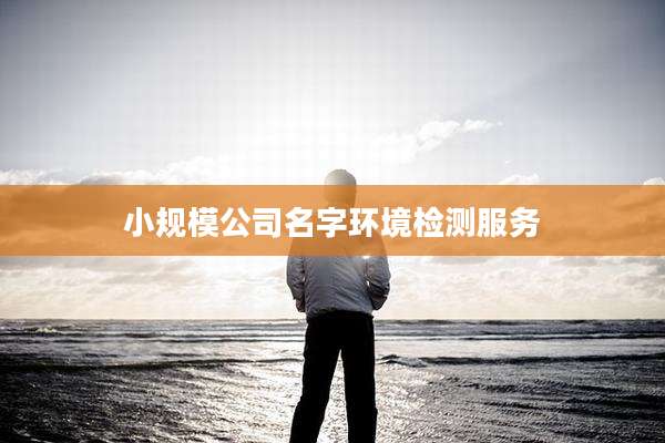 小规模公司名字环境检测服务