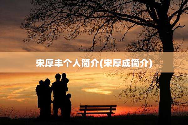 宋厚丰个人简介(宋厚成简介)