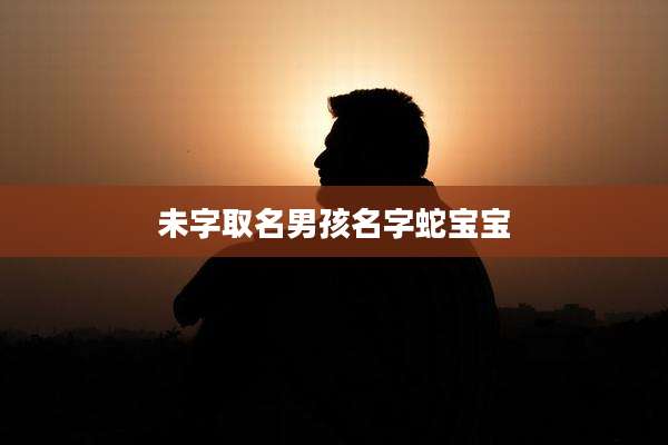 未字取名男孩名字蛇宝宝