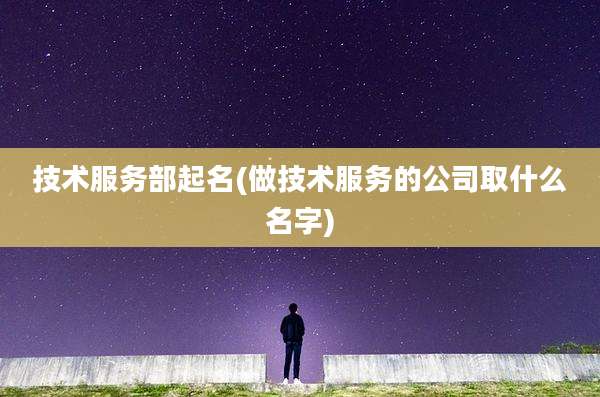 技术服务部起名(做技术服务的公司取什么名字)