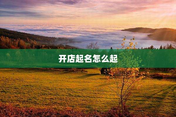 开店起名怎么起