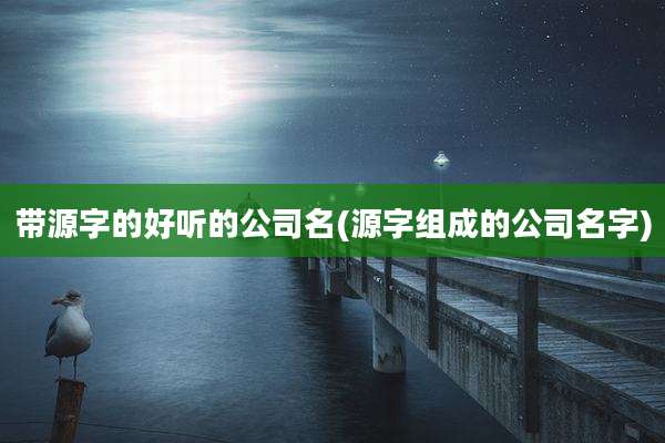 带源字的好听的公司名(源字组成的公司名字)