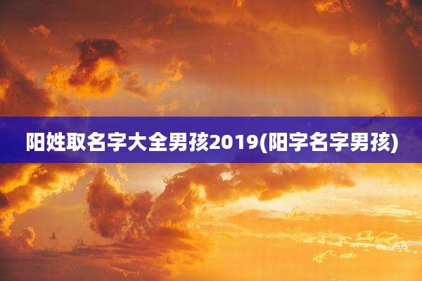 阳姓取名字大全男孩2019(阳字名字男孩)