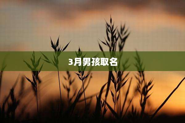 3月男孩取名