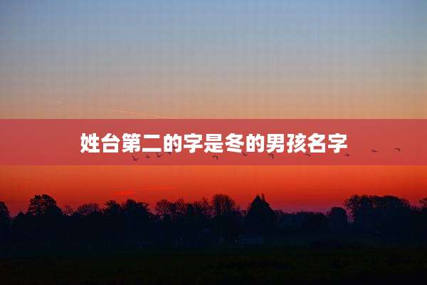 姓台第二的字是冬的男孩名字