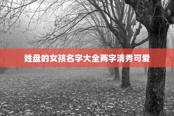 姓盘的女孩名字大全两字清秀可爱